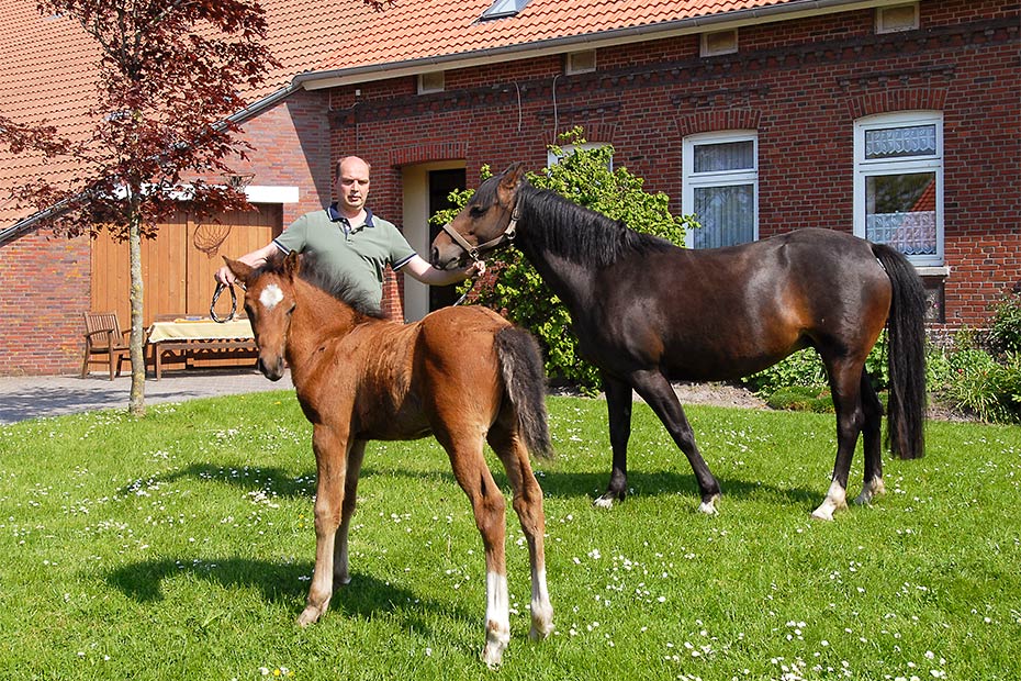 Foto aus der Fotogruppe 