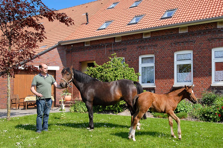 Foto aus der Fotogruppe 