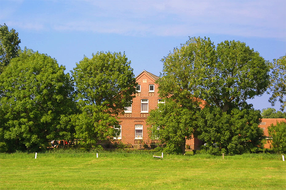 Foto aus der Fotogruppe 