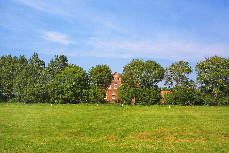 Foto aus der Fotogruppe 