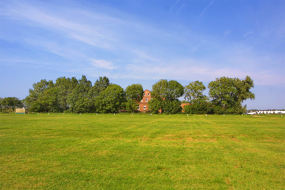 Foto aus der Fotogruppe 