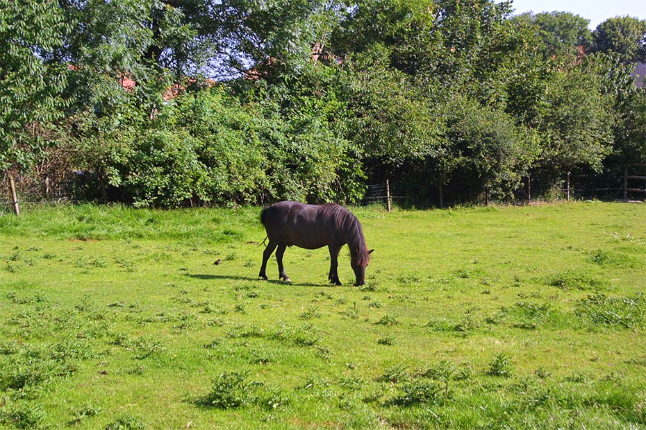 Foto aus der Fotogruppe 