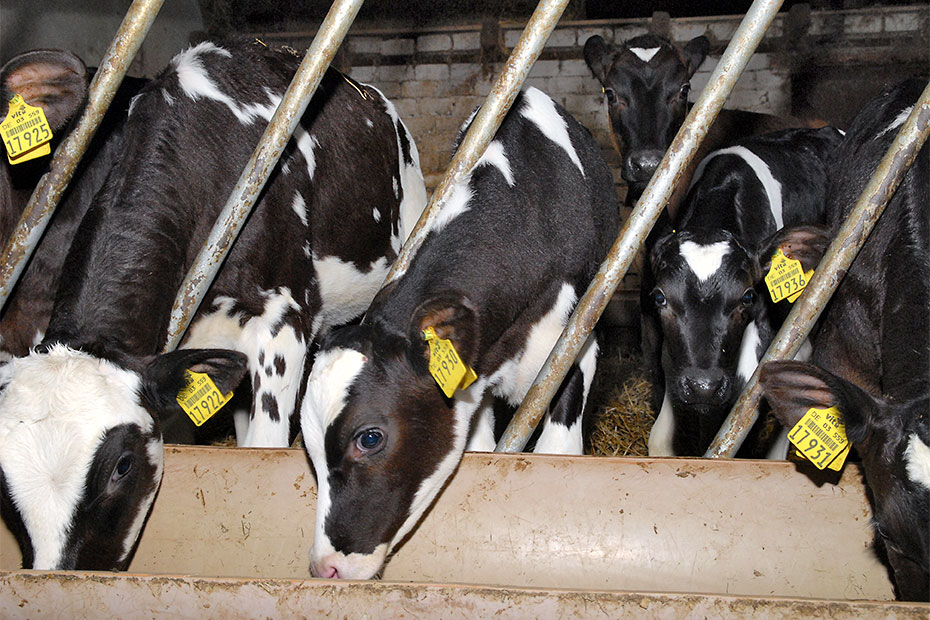 Foto aus der Fotogruppe 