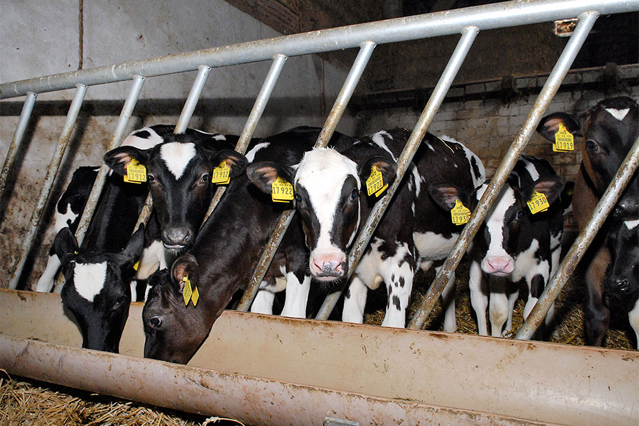 Foto aus der Fotogruppe 