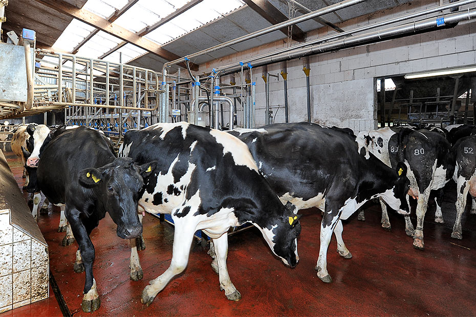 Foto aus der Fotogruppe 