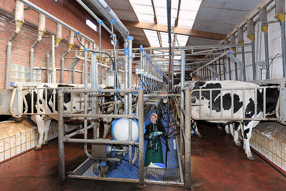 Foto aus der Fotogruppe 